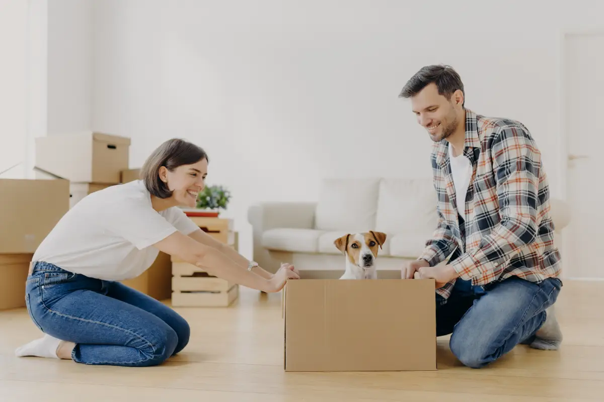 Crafting Pet-Friendly Rental Policies in Seguin: Protecting Homes While Attracting Long-Term Tenants